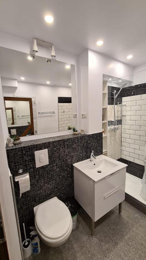 La Fluturi Apartament Apartment Suceava Exterior photo