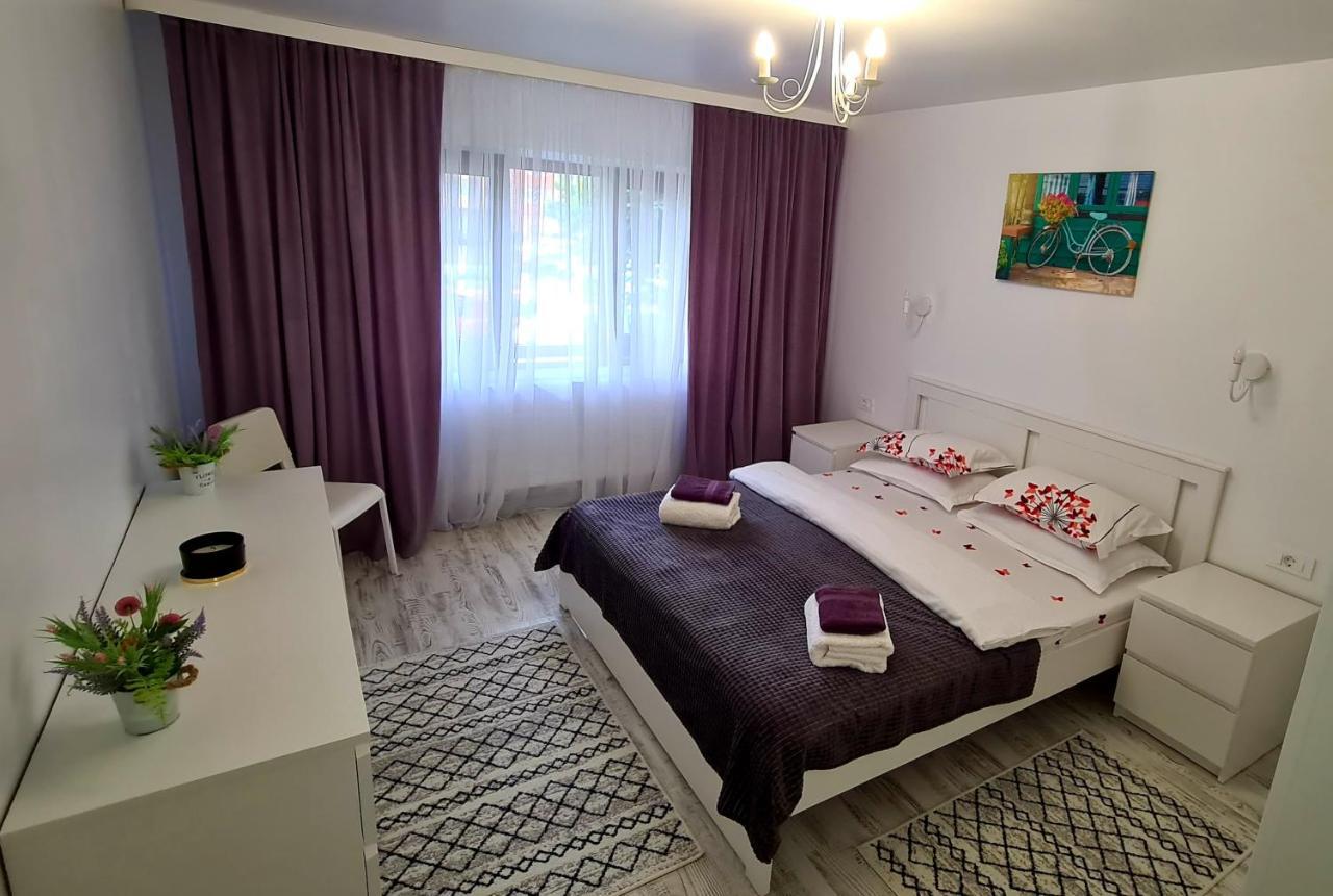 La Fluturi Apartament Apartment Suceava Exterior photo